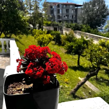 Mare - For Families & Groups Homestay *
