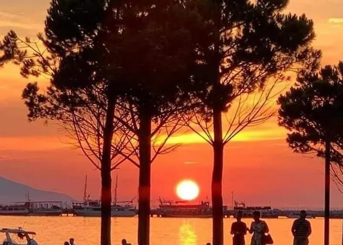 Mare - For Families & Groups