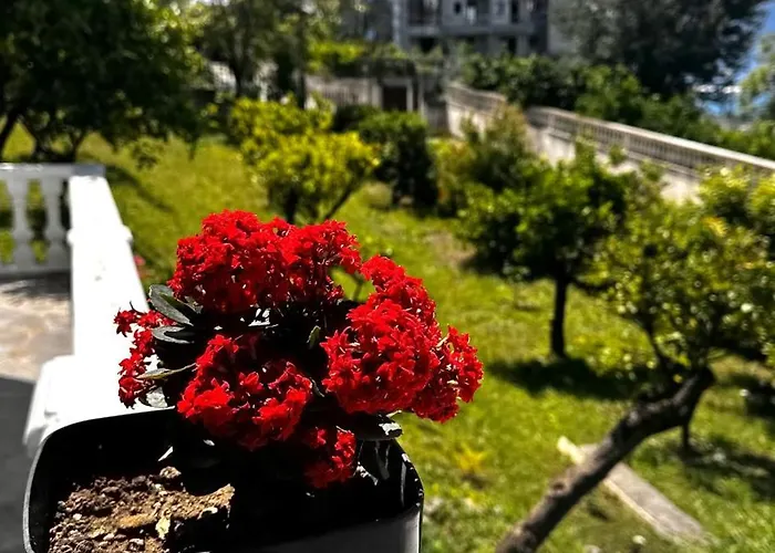 Mare - For Families & Groups 民宿 *