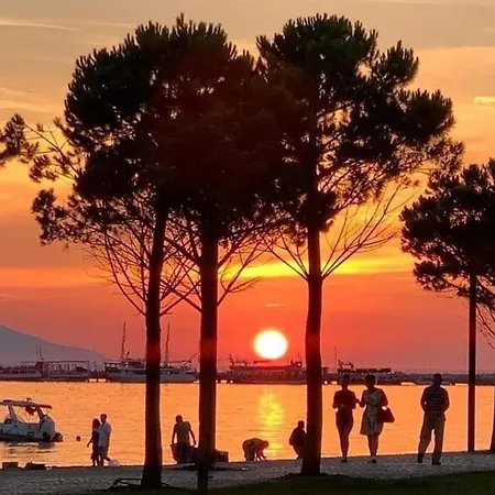 Mare - For Families & Groups